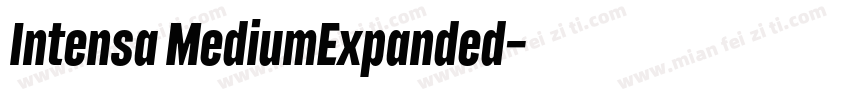 Intensa MediumExpanded字体转换